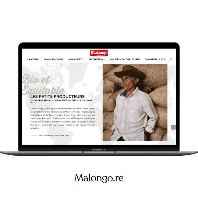 Réalisation de site web à la réunion du site malongo.re